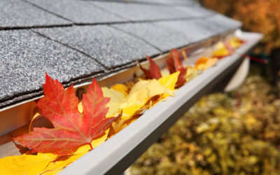 Fall Maintenance for Windows and Exterior Surfaces: Your Essential Checklist